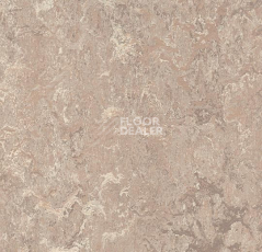 Линолеум Forbo Marmoleum Decibel on Order 323235 horse roan фото 1 | FLOORDEALER